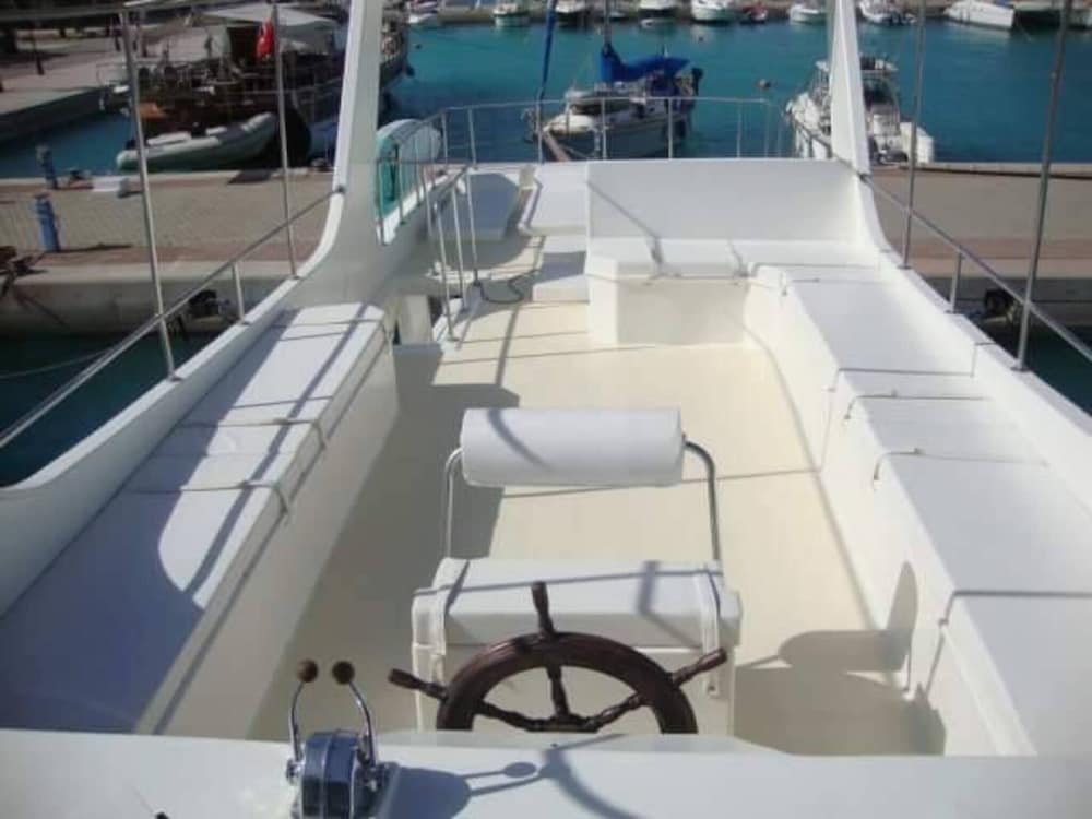 the royal luxury lion patio