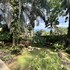 la foresta nature resort