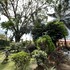 la foresta nature resort