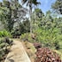 la foresta nature resort