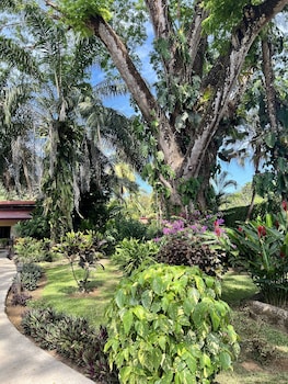 la foresta nature resort