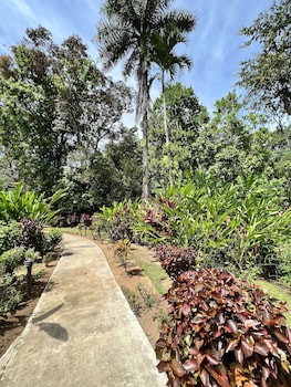 la foresta nature resort