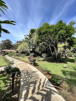 la foresta nature resort