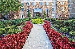 staybridge suites indianapolis fishers by ihg