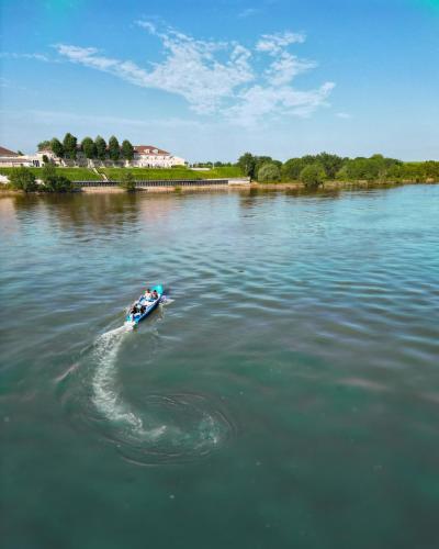 vidin