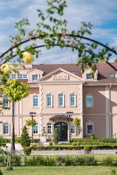 vidin