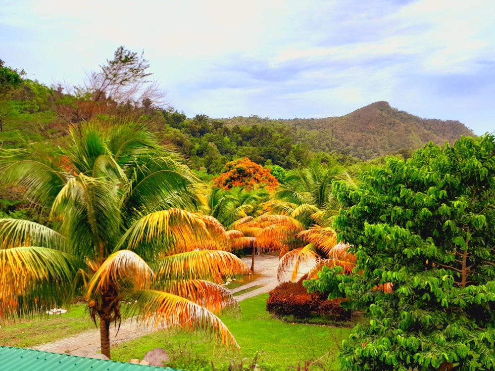 pinards mountain resort