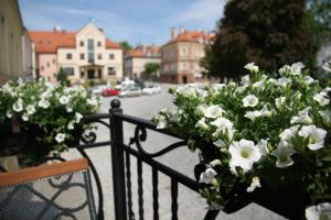 sandomierz