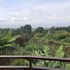 tumaini homestay