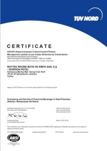 gorrion hotel istanbul