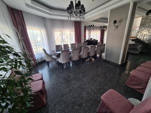 opus view