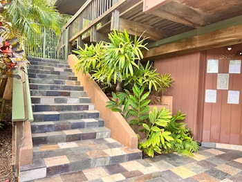mango suite