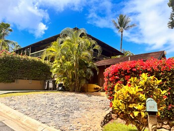 mango suite