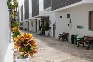 hotel el marques de manga