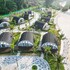 dau rong resort
