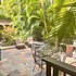 papaya suite