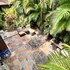 papaya suite