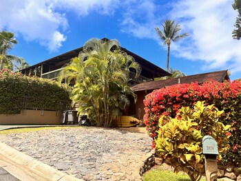 papaya suite