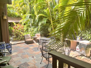 papaya suite