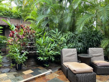 papaya suite