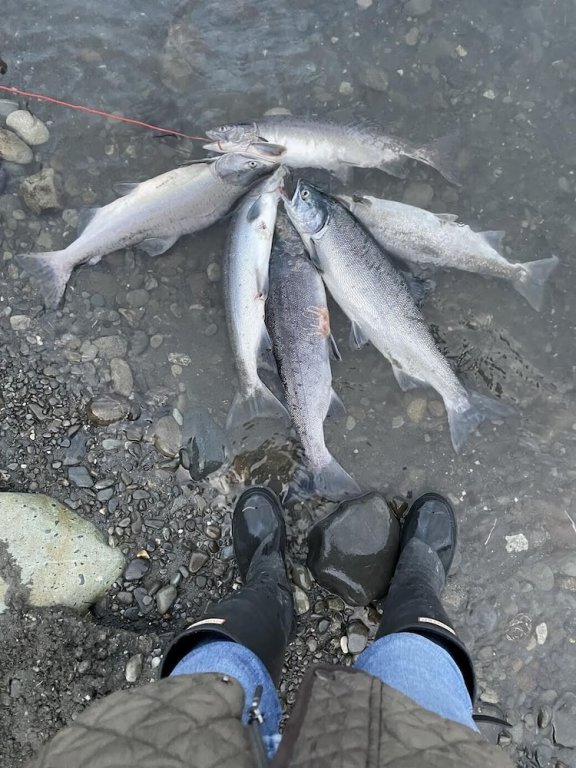 alaska lake and lodge at longmere