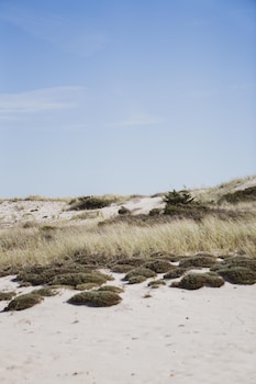 amagansett