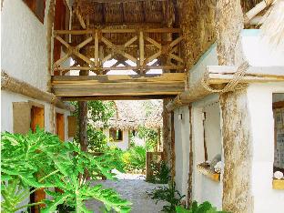 holbox by xaloc