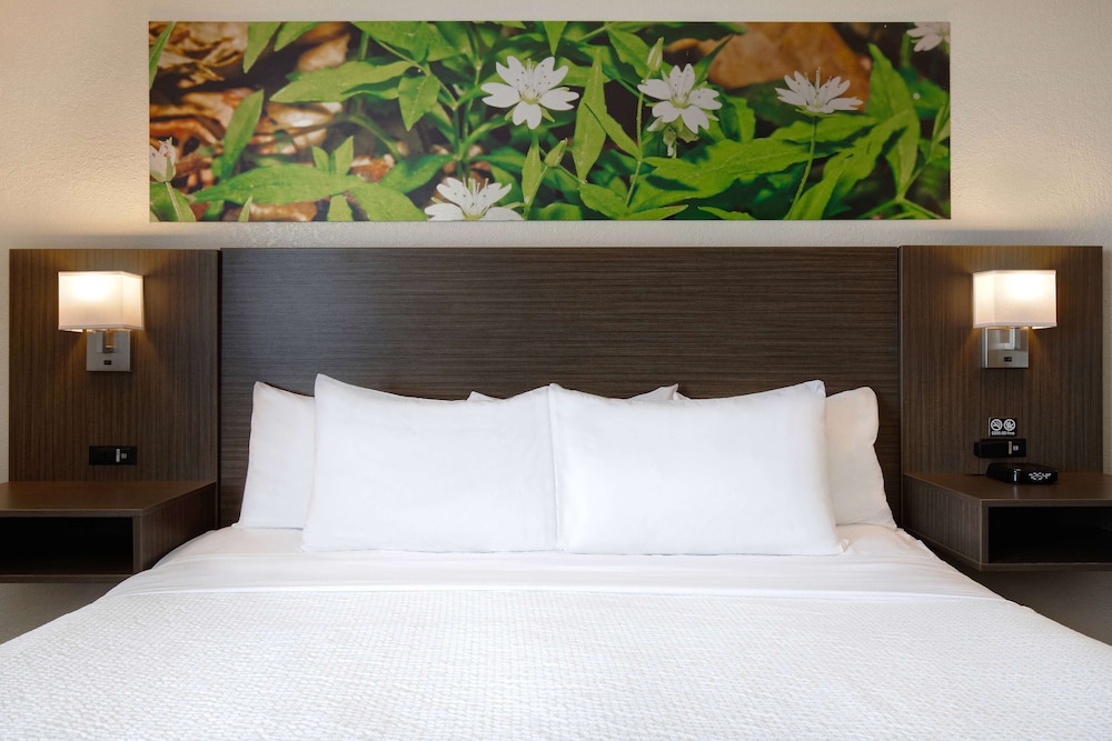 days inn and conference centre prince albert