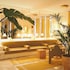 apollo palm hotel