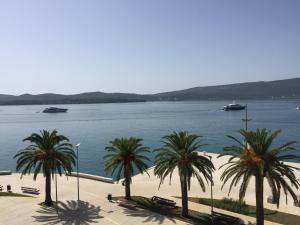 tivat