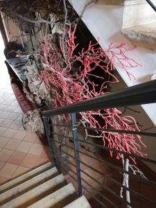 ristolocanda grani di pepe