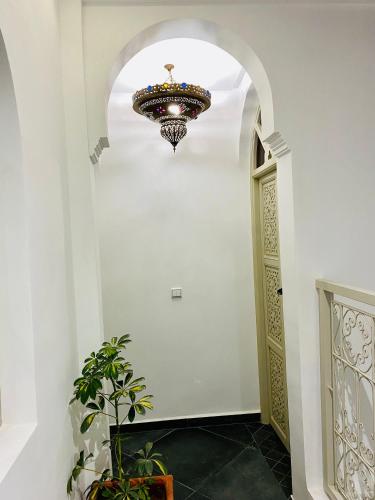dar riad jomana