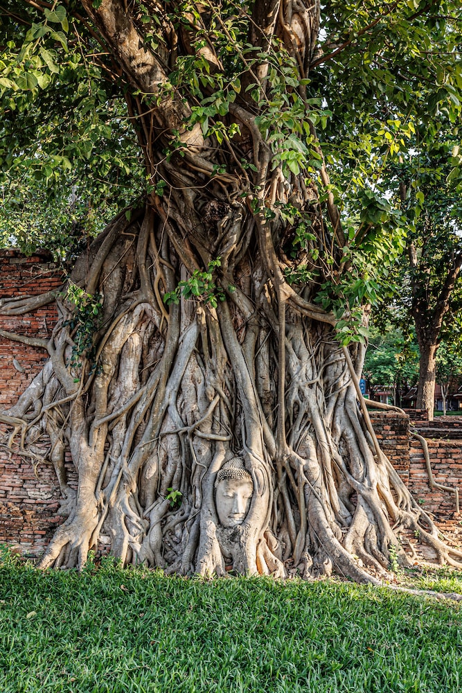 baan mee suk ayutthaya hostel
