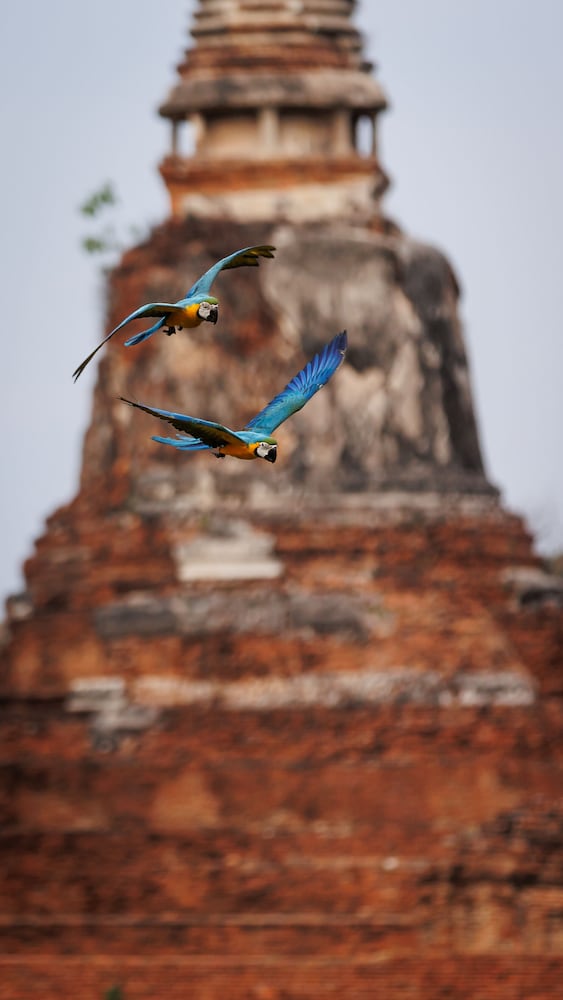 baan mee suk ayutthaya hostel