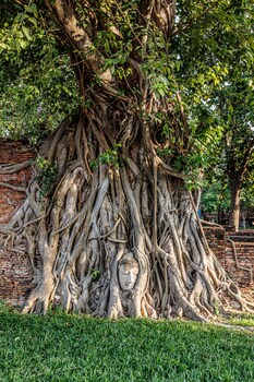 baan mee suk ayutthaya hostel