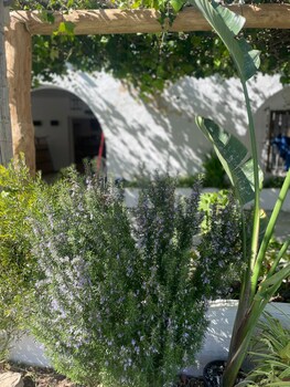 la posada de trafalgar