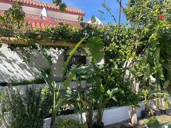 la posada de trafalgar