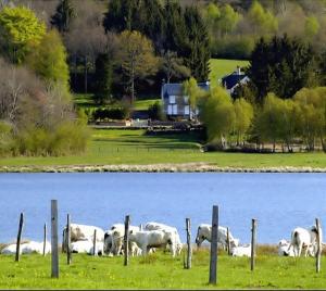 saulieu