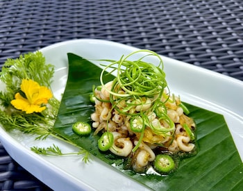 blue joys marine sports resort