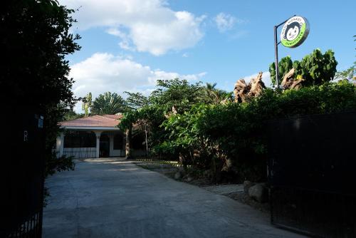 mad monkey dumaguete