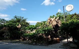 mad monkey dumaguete