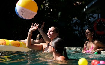 mad monkey dumaguete