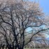 rakuten stay villa yatsugatake