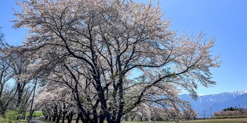 rakuten stay villa yatsugatake