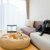 rakuten stay villa yatsugatake