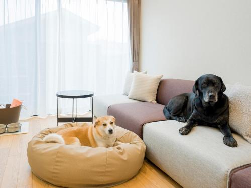 rakuten stay villa yatsugatake