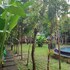 lembongan island