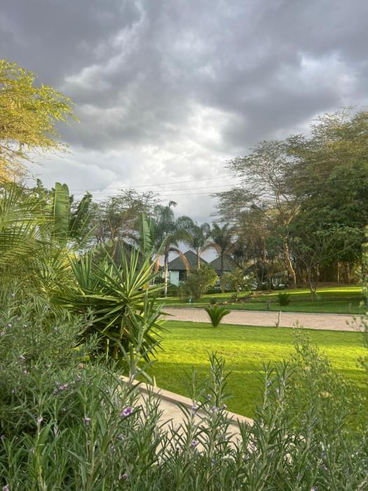 arusha