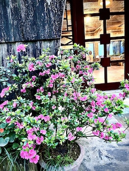 arista homestay sapa