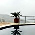 arista homestay sapa